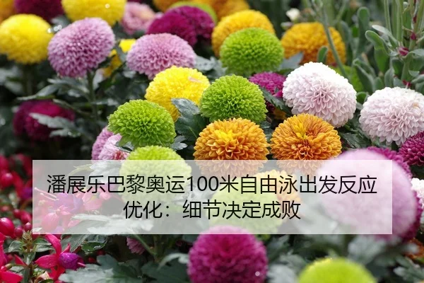 潘展乐巴黎奥运100米自由泳出发反应优化：细节决定成败