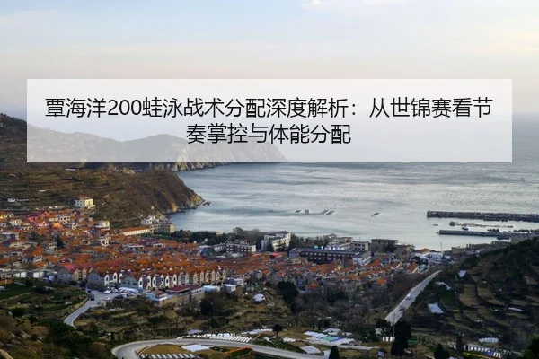 tan-hai-yang-wa-yong-zhan-shu-fen-pei-shen-du-jie-xi-cong-shi-jin-sai-kan-jie-zou-zhang-kong-yu-ti-neng-fen-pei-2-296.jpg