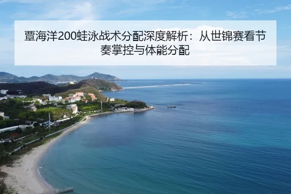 tan-hai-yang-wa-yong-zhan-shu-fen-pei-shen-du-jie-xi-cong-shi-jin-sai-kan-jie-zou-zhang-kong-yu-ti-neng-fen-pei-3-718.jpg