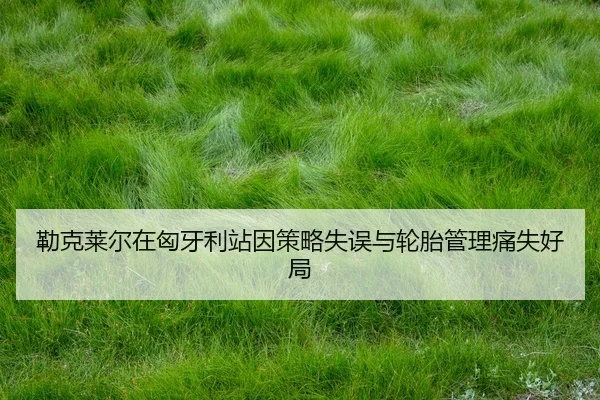 lei-ke-lai-er-zai-xiong-ya-li-zhan-yin-ce-lve-shi-wu-yu-lun-tai-guan-li-tong-shi-hao-ju-2-707.jpg