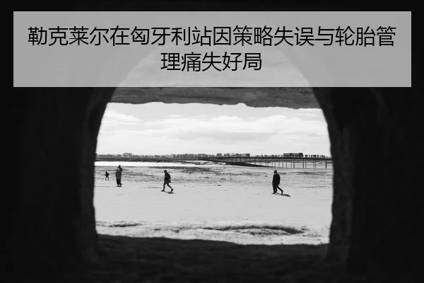 lei-ke-lai-er-zai-xiong-ya-li-zhan-yin-ce-lve-shi-wu-yu-lun-tai-guan-li-tong-shi-hao-ju-3-658.jpg