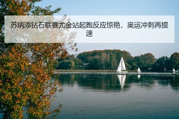 su-bing-tian-zuan-shi-lian-sai-you-jin-zhan-qi-pao-fan-ying-jing-yan-ao-yun-chong-ci-zai-ti-su-3-454.jpg