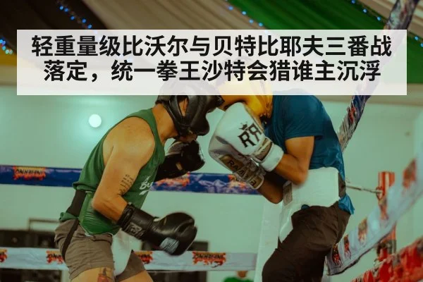 轻重量级比沃尔与贝特比耶夫三番战落定，统一拳王沙特会猎谁主沉浮